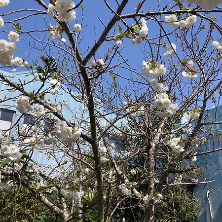 Narita Airport Samurai Hostel Kujukuri Eksteriør billede